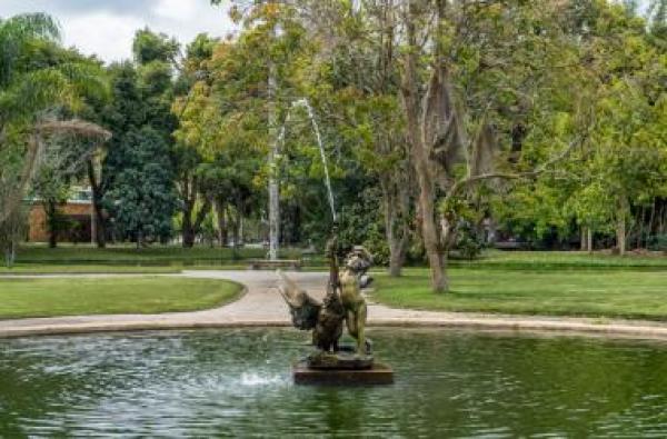 A renovada nobreza dos jardins do Nova Friburgo Country Clube - A Voz da Serra (Blogue)