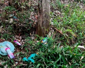 Denúncia: lixo no Parque Municipal Juarez Frotté | Jornal A Voz da Serra