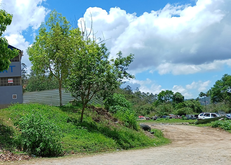 Foto da galeria