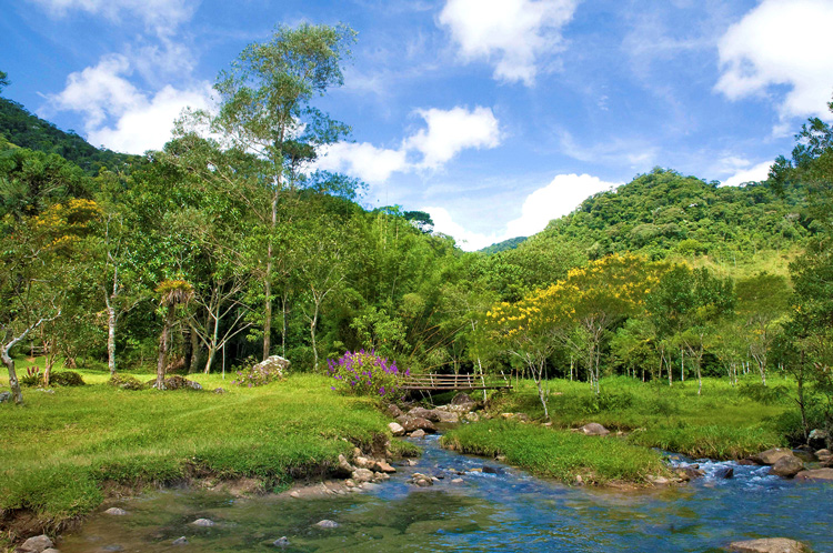 Foto da galeria