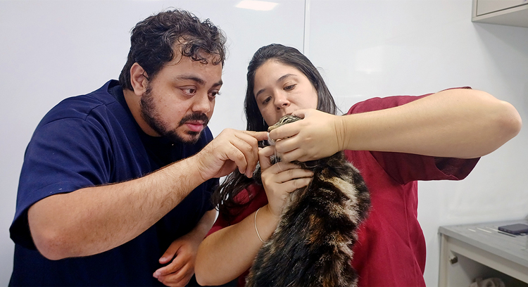 Foto da galeria
