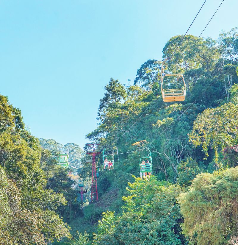 Foto da galeria