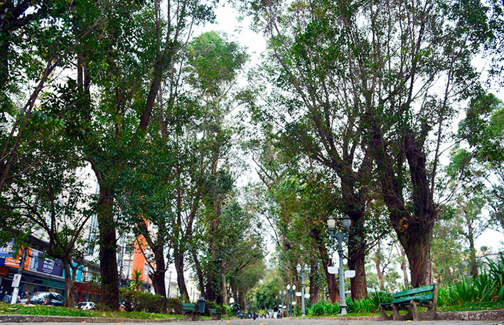Foto da galeria
