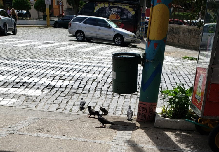 Foto da galeria