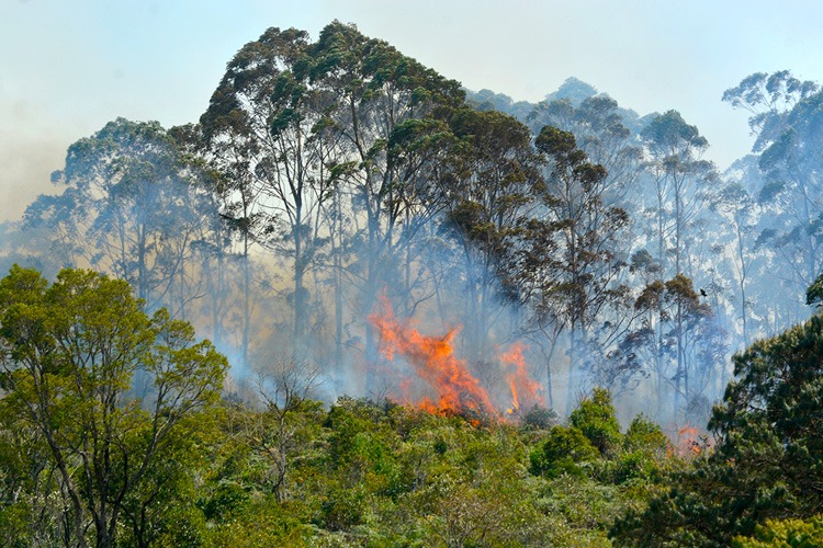 Foto da galeria