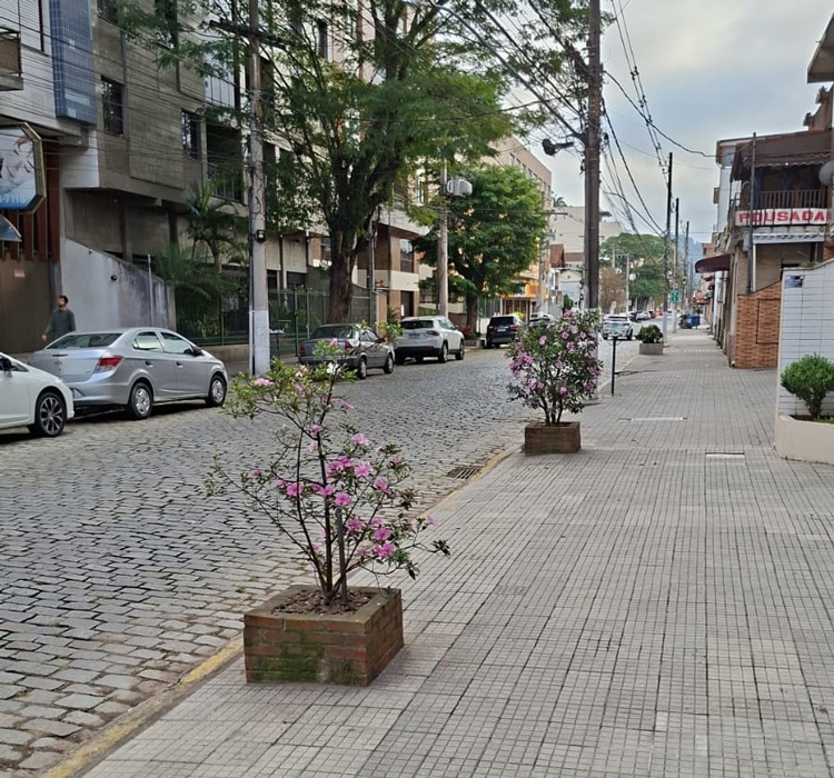 Foto da galeria