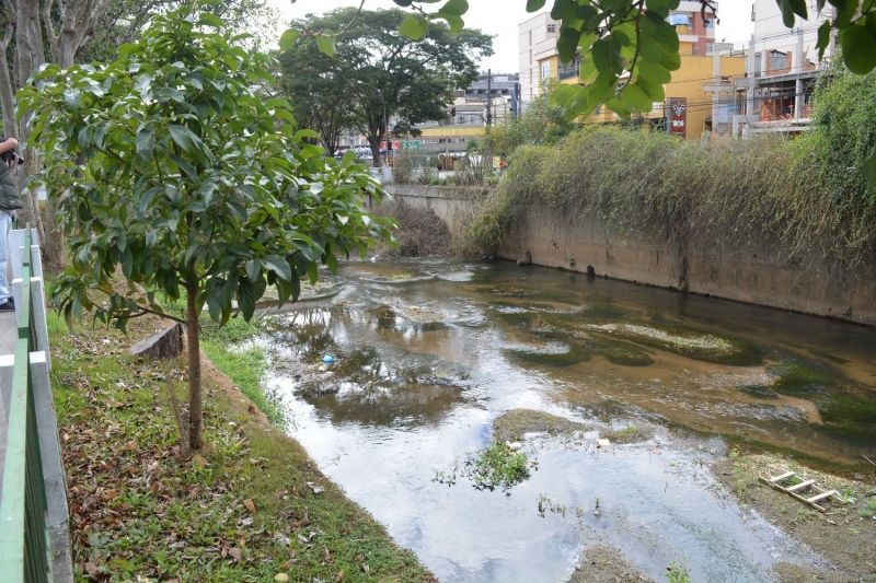 Rio Bengalas Friburgo limpeza : Nova Friburgo em Foco – Portal de Notícias