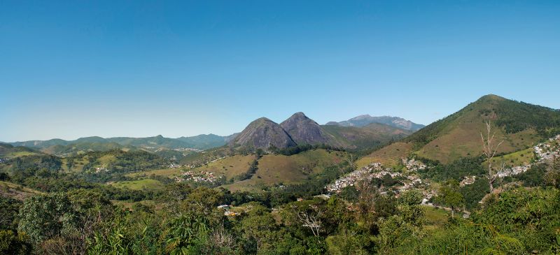 Lançado edital para reflorestamento da Mata Atlântica