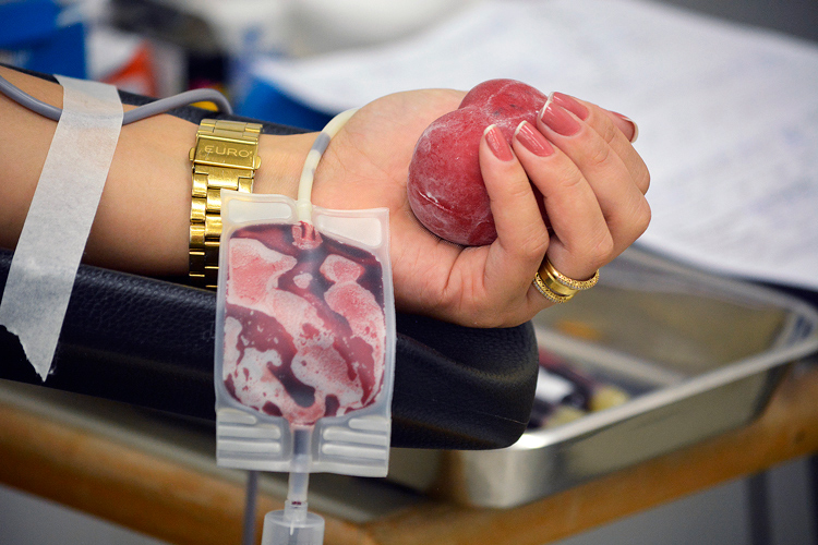 Doação de sangue (Foto: Henrique Pinheiro)