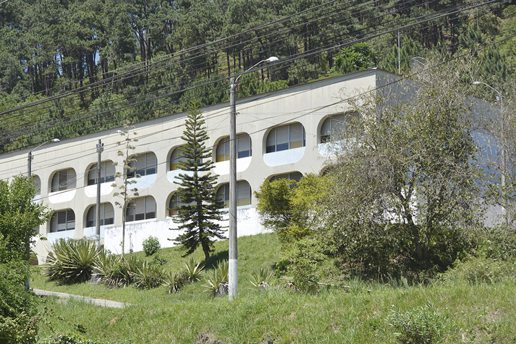 Foto: Henrique Pinheiro