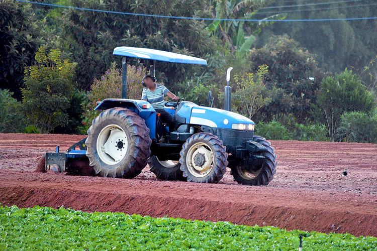 Foto: Henrique Pinheiro