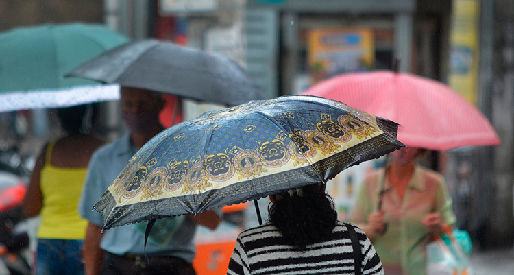 Foto: Henrique Pinheiro
