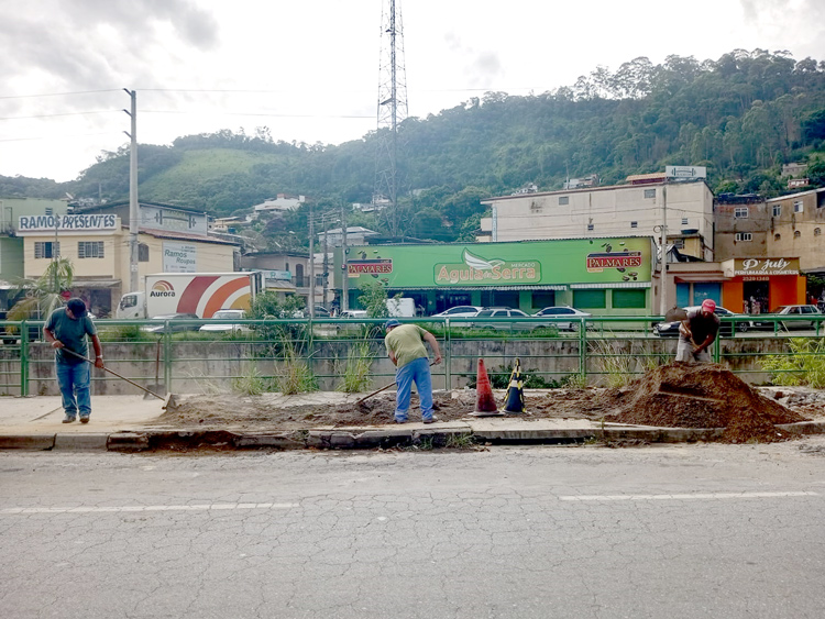 Foto: Henrique Pinheiro