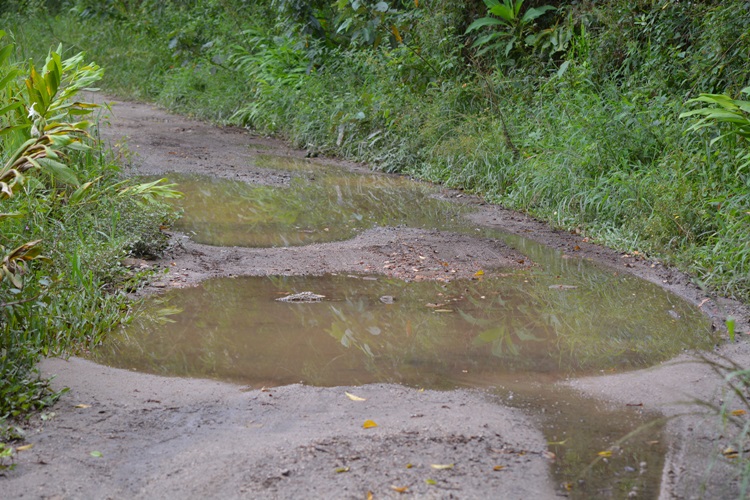 Buracos na estrada alagam com as chuvas (Fotos: Henrique Pinheiro)