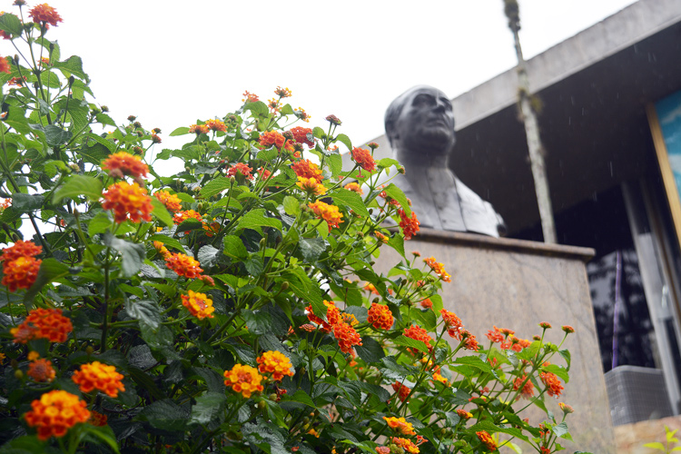 O busto de Monsenhor Mielli na praça de Olaria (Foto: Henrique Pinheiro)