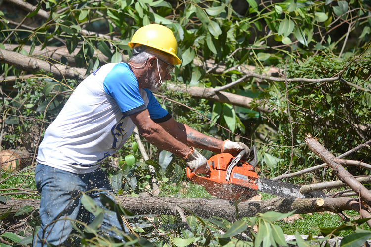 Foto: Henrique Pinheiro