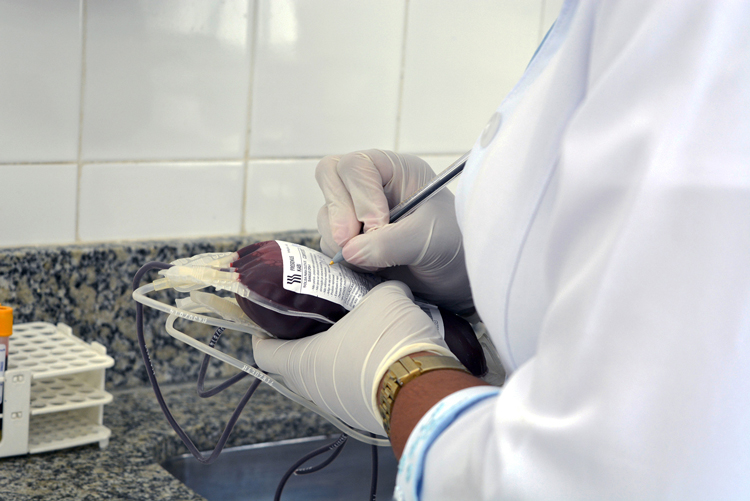 Coleta de sangue no Hemocentro (Arquivo AVS/ Henrique Pinheiro)