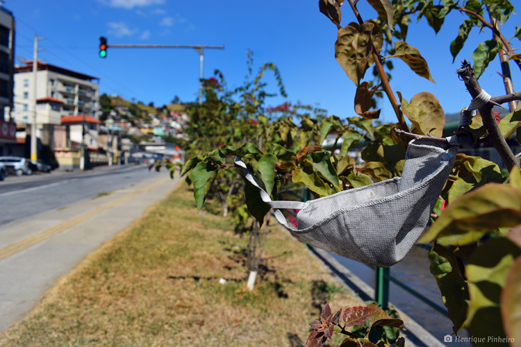 Máscara presa em um galho de árvore na avenida (Foto: Henrique Pinheiro)
