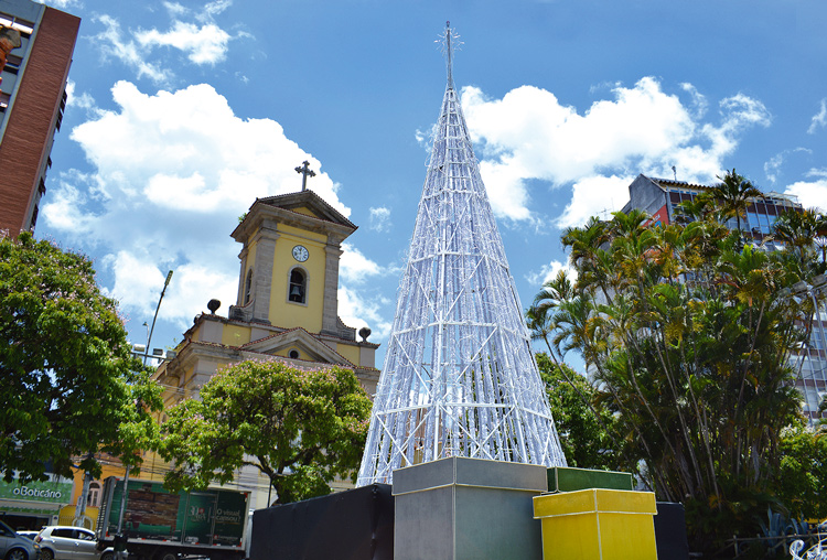 A árvore de Natal que está sendo montada em frente à Catedral (Fotos: Henrique Pinheiro)