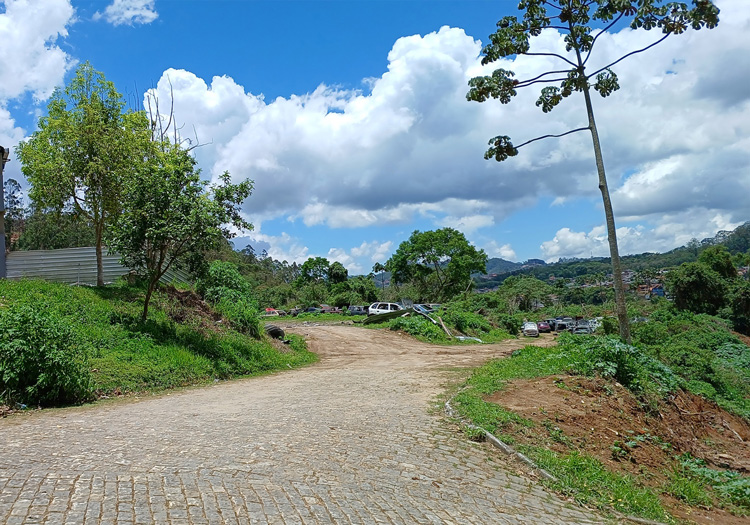 Foto: Henrique Pinheiro