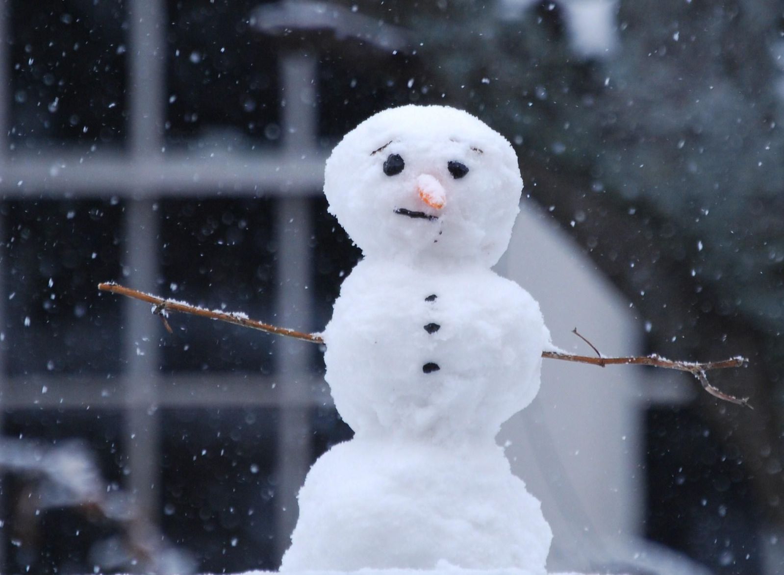 Boneco de neve de verdade: realidade distante de Friburgo, ainda (Reprodução da web)