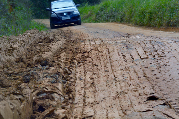 Foto: Henrique Pinheiro