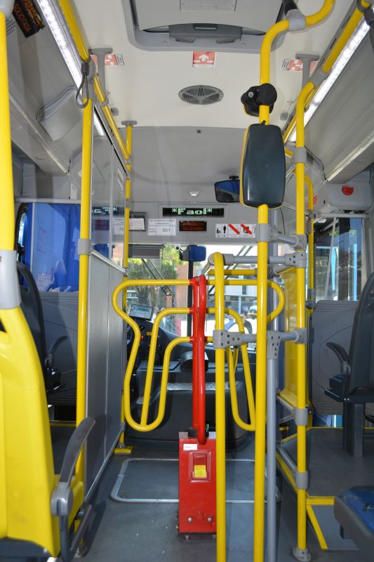 (Foto: Henrique Pinheiro)