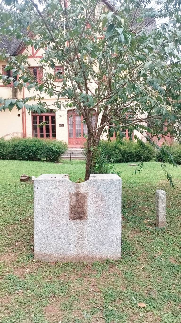 (Foto: Divulgação)