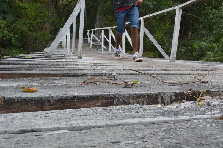Fotos: Henrique Pinheiro