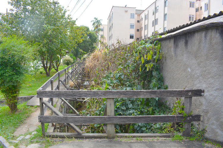 Foto: Henrique Pinheiro