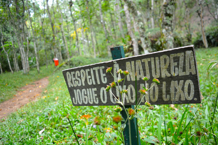 (Foto: Arquivo AVS/Henrique Pinheiro)