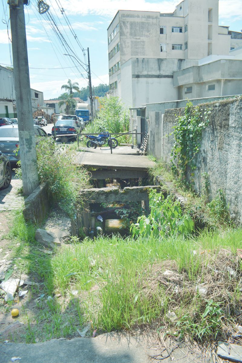 (Foto: Henrique Pinheiro)