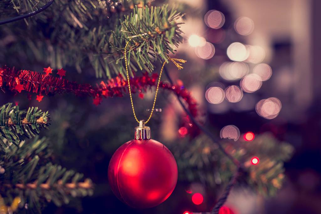 História e significado da árvore de Natal | Jornal A Voz da Serra