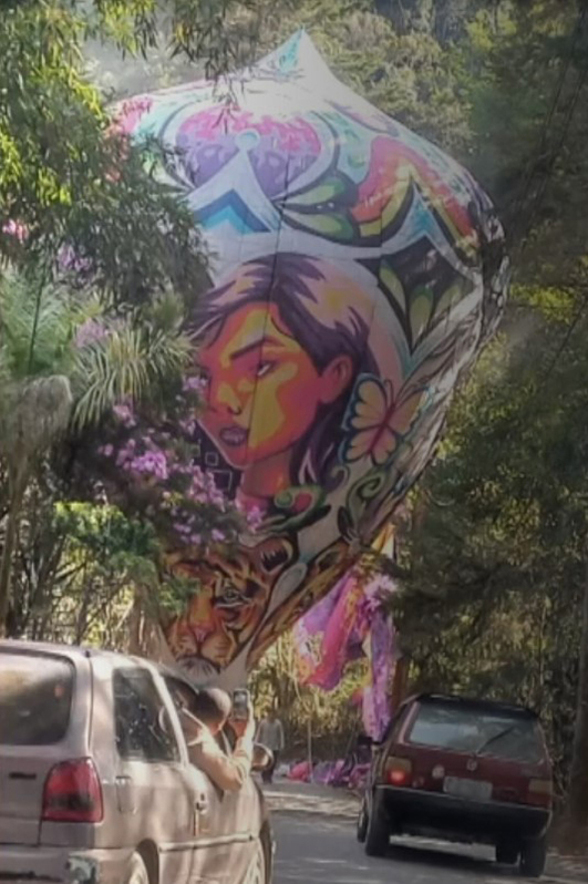 (Foto: Reprodução Portal G1)