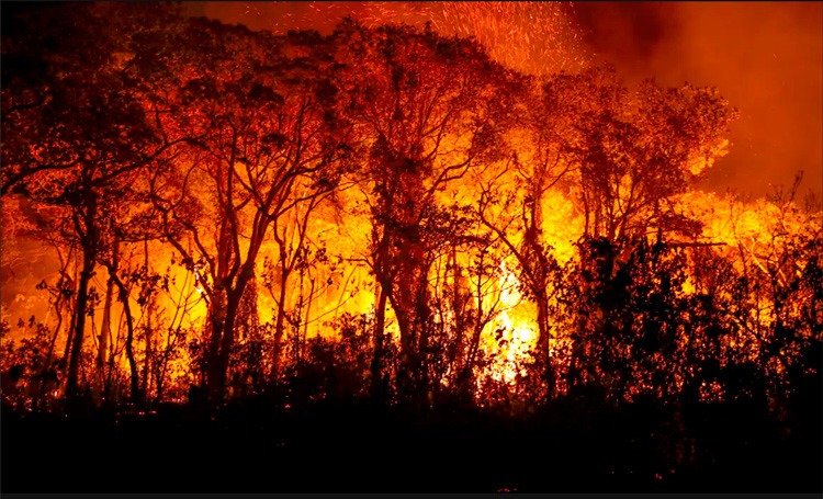 (Foto: Joedson Alves Agência Brasil)