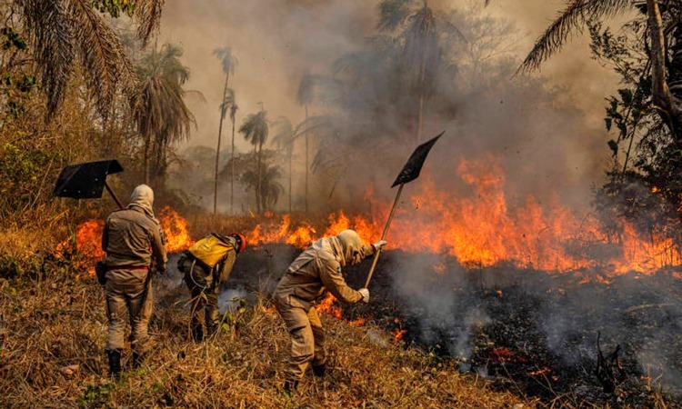 (Foto: Lalo de Almeida Folha Press)