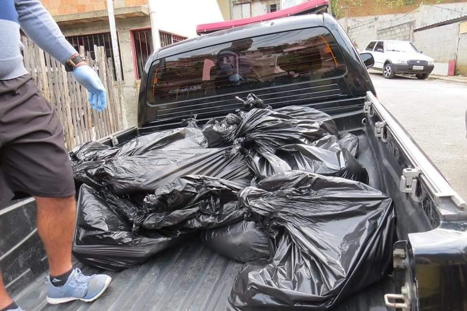 A remoção dos cães mortos em sacos plásticos (Fotos de redes sociais)
