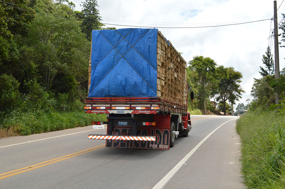 (Foto: Henrique Pinheiro)