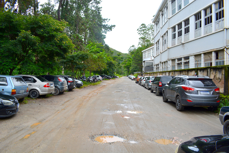 Foto: Henrique Pinheiro