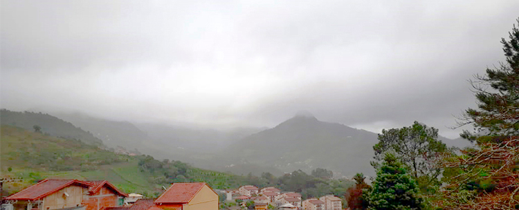 Foto: Henrique Pinheiro