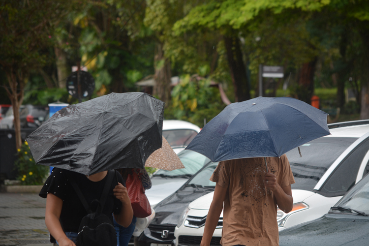 (Foto: Henrique Pinheiro)