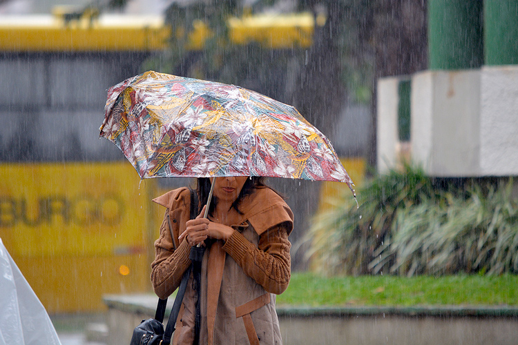 (Foto: Arquivo AVS/Henrique Pinheiro)