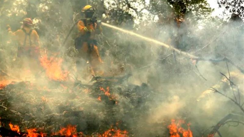 (Foto: Banco de Imagens / Alerj)