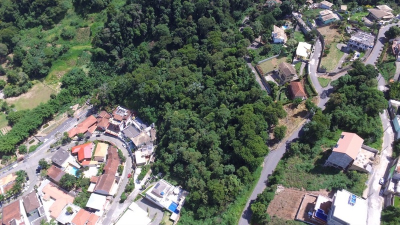 A mata nativa entre o Tingly e o Bairro Suíço que poderá ser suprimida (Fotos de leitores)