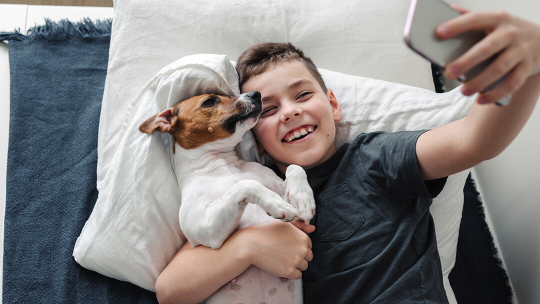 (Foto: Reprodução/Purina)