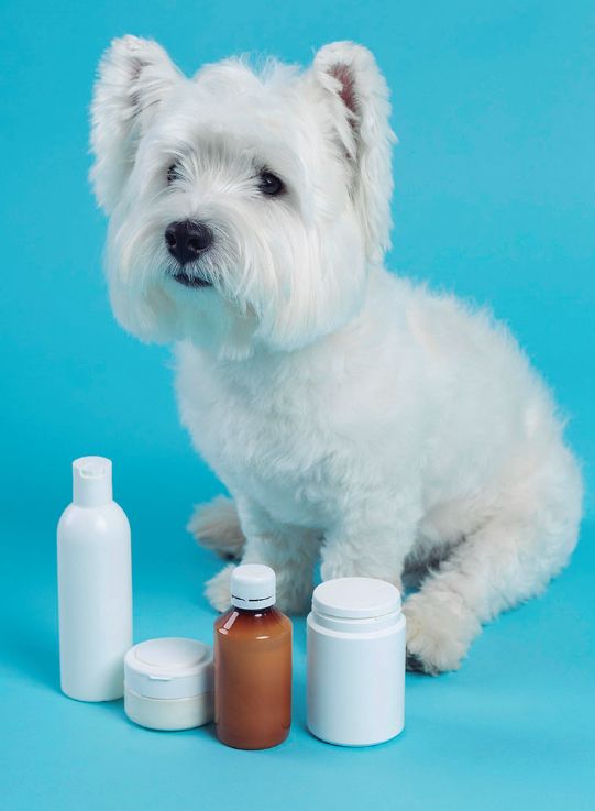 Remédios manipulados para pets