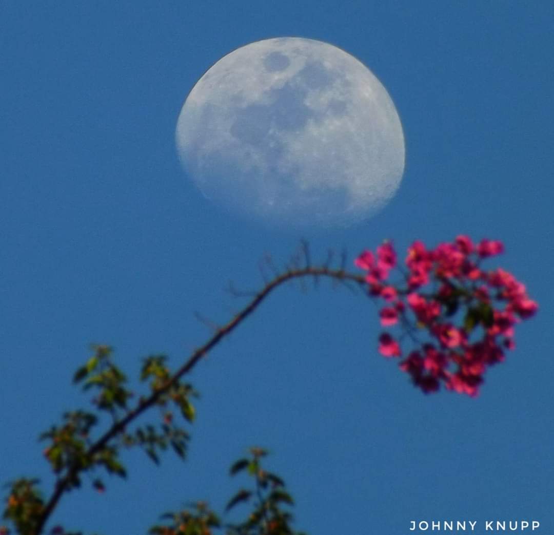 Lua no céu em Nova Friburgo (Foto: Johnny Knupp)
