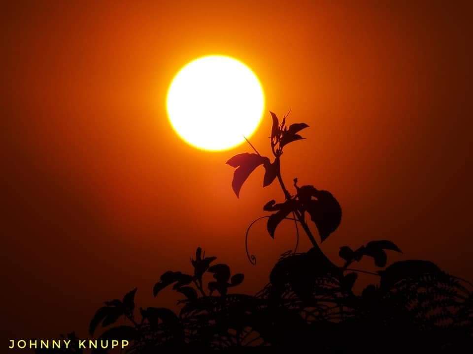 Por do sol típico de verão (Foto: Johnny Knupp)