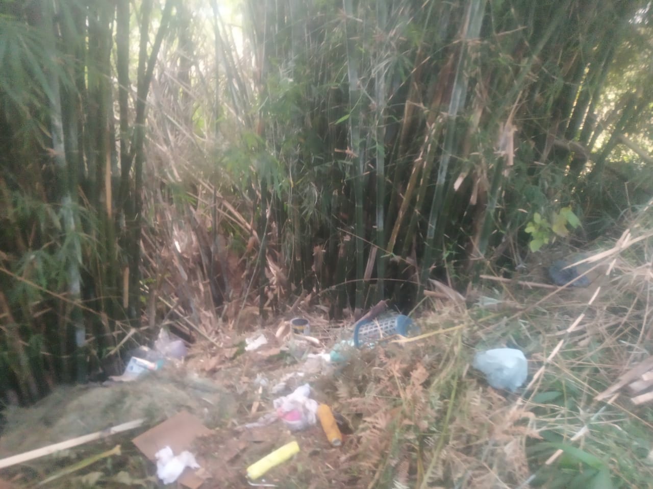 O despeko de lixo no Parque Santa Elisa (Foto de leitor)
