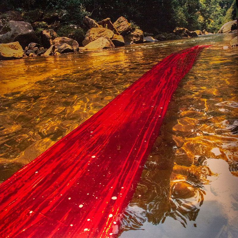 Vermelho Encarnado no Rio Bonito - Liliane Braga (Fotos: Divulgação)